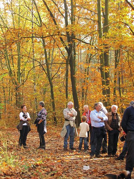 Wandeling van Monke en Judith op 21-10-2012 (63).JPG